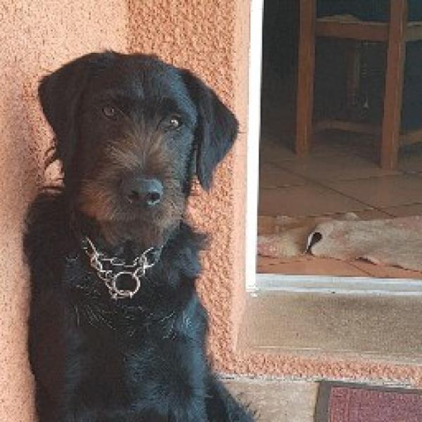 Donne contre bons soins Black