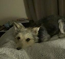 Donne Diego contre bons soins - Pyrénées Atlantique