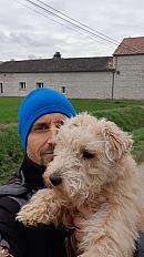 Donne Lakeland femelle 2 ans - Lot et Garonne