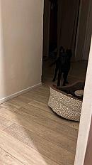 Donne chien mudi 1 an - Essonne - Photo 3