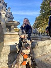 Donne Vincent bouvier d'Australie mâle 6 ans - Ain - Photo 2