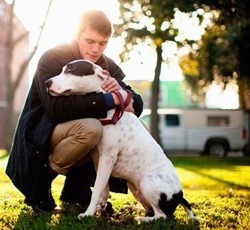 Etes-vous prêt à adopter un chien ?