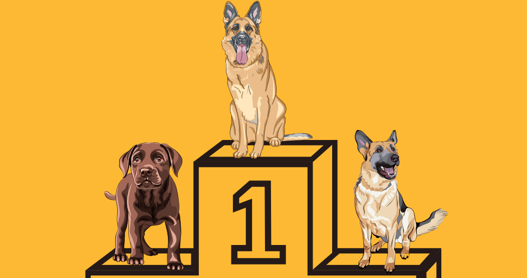 2020 en chiffres : adoptions et donations