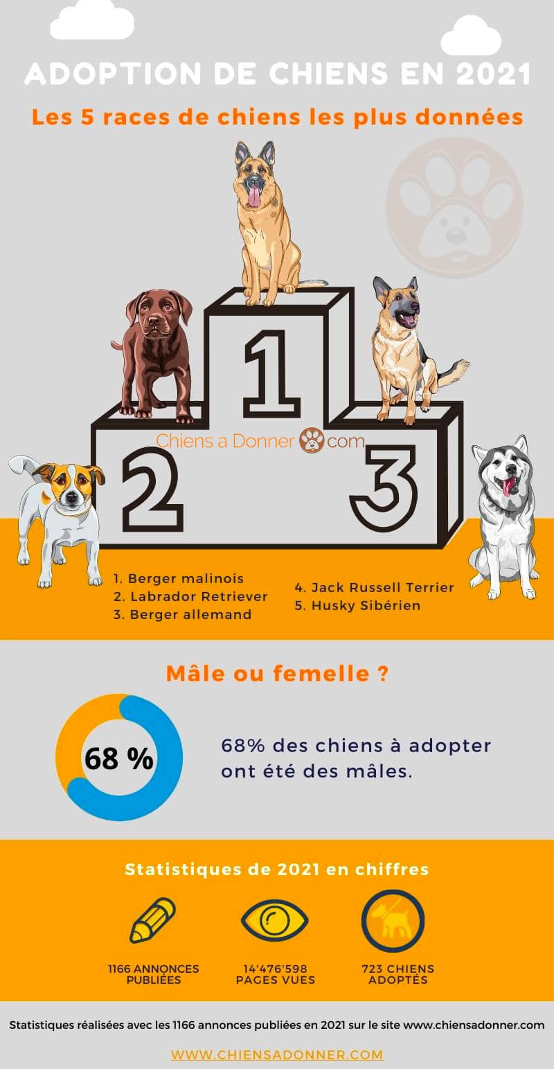 Bilan des adoptions en 2021