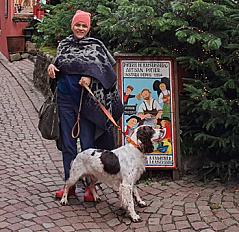 Cherche bonne famille pour English Springer Spaniel mâle 5 ans - Seine et Marne - Photo 2