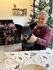 Donne Jasko Pischer X Jack Russell mâle 12 ans - Rhône - Photo 3