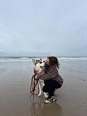 Donne Floki husky sibérien mâle 1 an - Pas de Calais - Photo 2