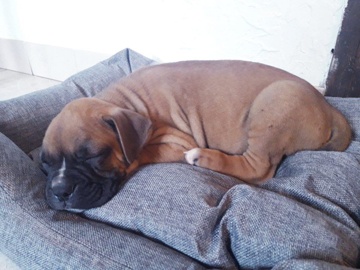 62345819_445225782929456_3542223051301060608_n (1)