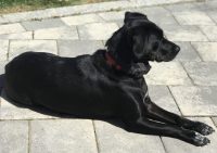 50807989-93EF-4362-9323-E6B693EC205C