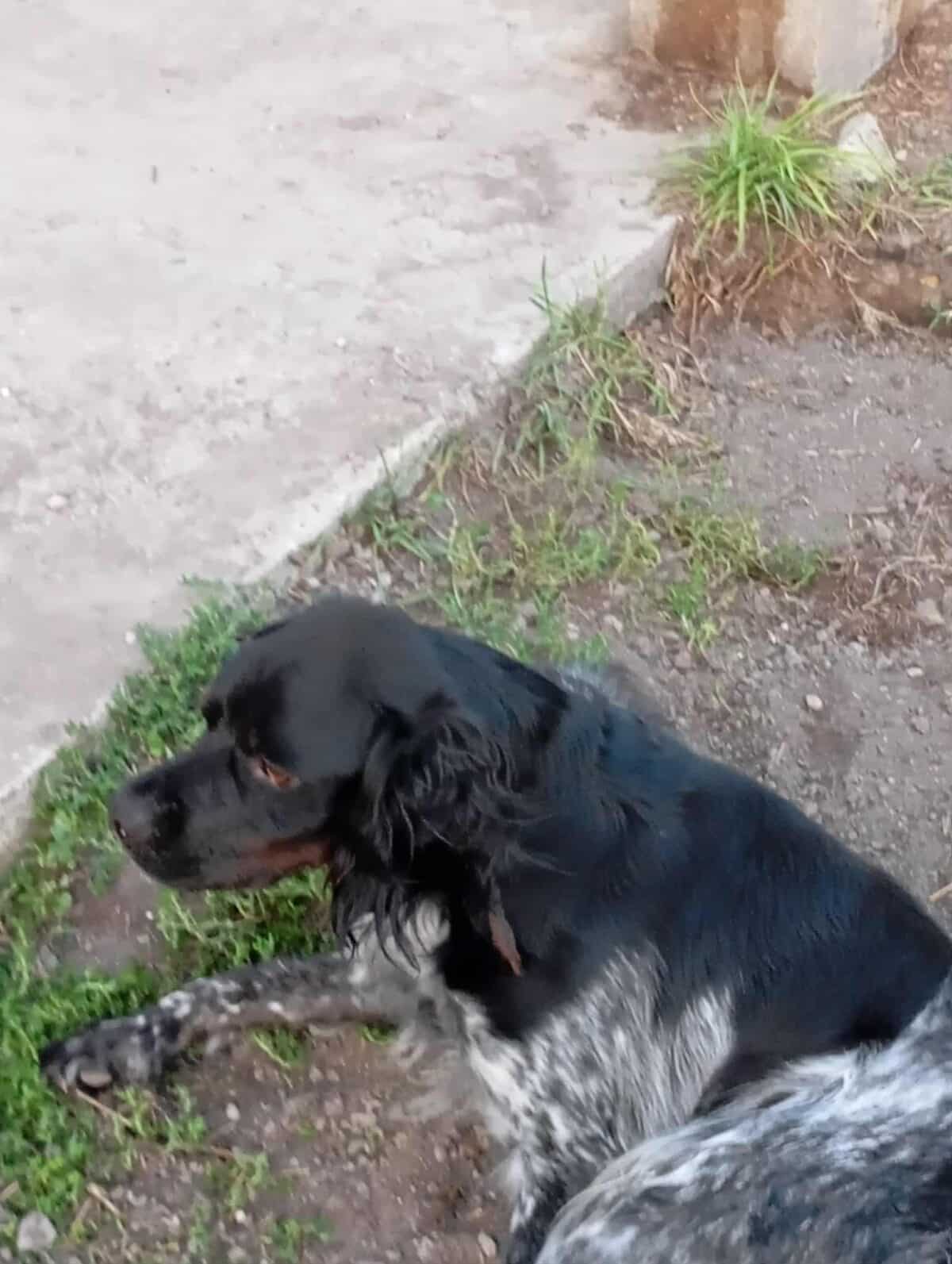 att.dkwea6tlppD_LC-lSEdFLGMqHr8YtOVRB6xgEwks2zU