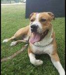 inbound6802567104871166609