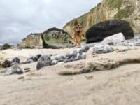 IMG_20240924_135526821