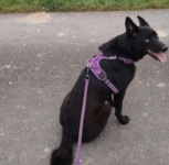 Messenger_creation_C16911A4-A2D6-443C-B37B-66F664560FFA